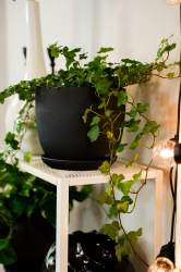 Donica Klasik Wysoki wys. 14,5cm, średnica 13,5cm - Doniczka Klasik Wysoki - ceramiczna - to idealny wybór dla miłośników klasycznego stylu wnętrz.