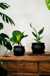 Doniczka  Kokarda wys. 17cm, średnica 23,5cm - Doniczka Kokarda to ceramiczna doniczka o niezwykłym kształcie, który przypomina kokardę.